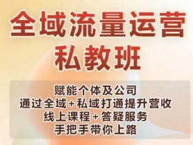 全域流量运营操盘课，赋能个体及公司通过全域+私域打通提升营收