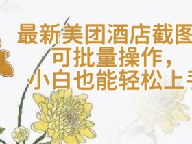【轻云】最新美团酒店截图，可批量操作，小白也能轻松上手