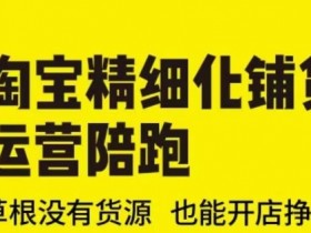 淘宝精细化铺货运营陪跑(部分更新至2025)，草根没有货源 也能开店挣钱