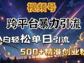 跨平台暴力引流，私域完美闭环，日引500+精准创业粉