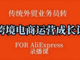 跨境电商速卖通运营课，​运营方法论+后台实操，逻辑清晰