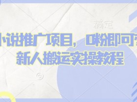 蛋花小说推文项目，0粉即可变现，新人搬运实操教程