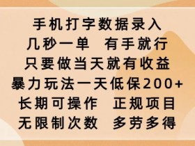 手机打字数据录入，几秒一单，有手就行，只要做当天就有收益，暴力玩法一天低保2张