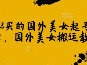 1288买的国外美女起号技术，国外美女搬运教学