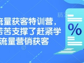 实体流量获客特训营，​别再苦苦支撑了赶紧学会流量营销获客