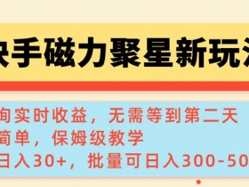 快手磁力新玩法，可查询实时收益，单机30+，批量可日入3到5张【揭秘】