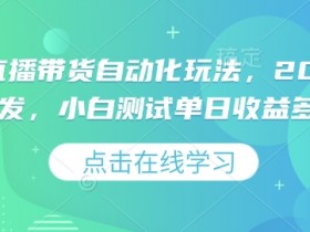 视频号直播带货自动化玩法，2025独家首发，小白测试单日收益多张【揭秘】