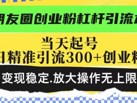 朋友圈创业粉杠杆引流术，当天起号日精准引流300+创业粉，变现稳定，放大操作无上限