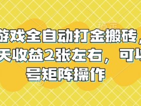 老款游戏全自动打金搬砖，单号一天收益2张左右，可以多号矩阵操作【揭秘】