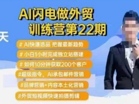AI闪电做外贸训练营第22期：Al快速选品+小白1小时完成独立站搭建+10分钟获取200个客户等
