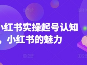 2025小红书实操起号认知课，小红书的魅力