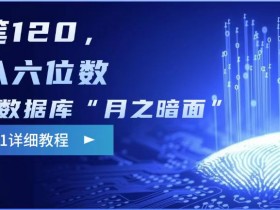 阿里数据库“月之暗面“影评撰写，边追剧边赚钱，单笔120,，月入过W