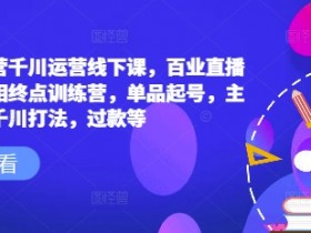 六边形运营千川运营线下课，百业直播间爆量真相终点训练营，单品起号，主播培训，千川打法，过款等