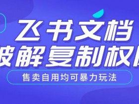 首发飞书文档破解复制权限，售卖自用均可暴力玩法
