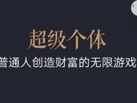 超级个体2024-2025翻盘指南，普通人创造财富的无限游戏