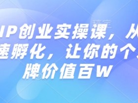 知识IP创业实操课，从0到1快速孵化，让你的个人品牌价值百W