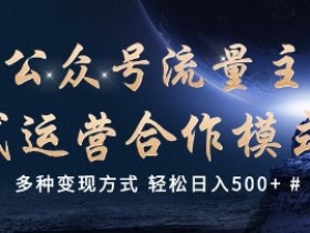 公众号流量主代运营  多种变现方式 轻松日入5张【揭秘】