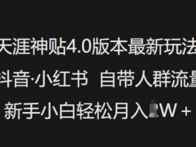 天涯神贴4.0版本最新玩法，抖音·小红书自带人群流量，新手小白轻松月入过W