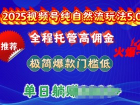2025视频号纯自然流玩法5.0，全程托管高佣金，极简爆款门槛低，单日收益多张【揭秘】