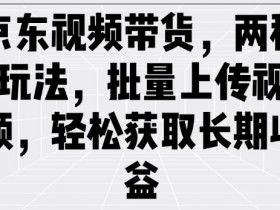 京东视频带货，两种玩法，批量上传视频，轻松获取长期收益