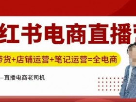 小红书电商直播训练营，直播带货+店铺运营+笔记运营