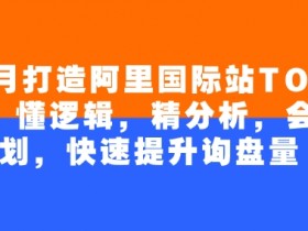 4个月打造阿里国际站TOP店铺，懂逻辑，精分析，会规划，快速提升询盘量