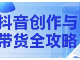 抖音创作者全攻略，从广告分成到高清视频制作，实现流量变现