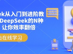 DeepSeek从入门到进阶教程，解锁DeepSeek的N种姿势，让你效率翻倍
