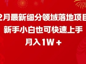 2月最新细分领域落地项目，新手小白也可快速上手，月入1W