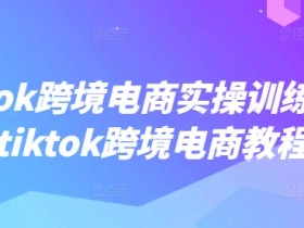 TikTok跨境电商实操训练营，tiktok跨境电商教程