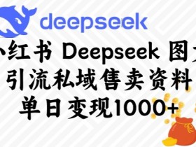 小红书Deepseek图文引流私域售卖资料，单日变现多张
