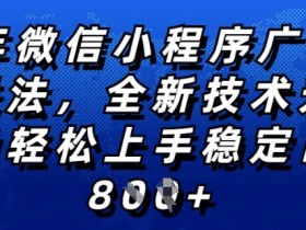 2025年微信小程序全新玩法纯小白易上手，稳定日入多张，技术全新升级，全网首发【揭秘】