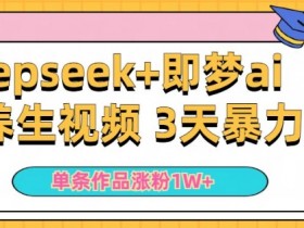 小白用DeepSeek+即梦做ai养生视频，一条作品涨粉5万+，单日收益多张