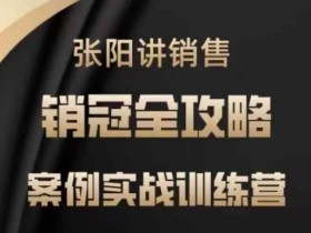 张阳讲销售实战训练营，​案例实战训练，销冠全攻略
