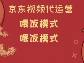京东短视频代运营，喂饭模式，小白轻松上手【揭秘】