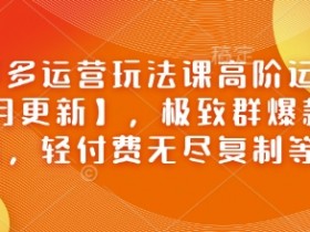 拼多多运营玩法课高阶运营【2月更新】，极致群爆款玩法，轻付费无尽复制等