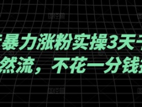 抖音暴力涨粉实操3天千粉，自然流，不花一分钱投流，实操经验分享