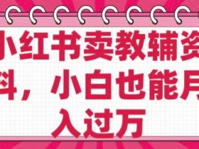 小红书卖教辅资料，0 成本，纯利润，售后成本极低，小白也能月入过W