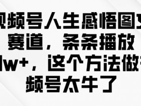 视频号人生感悟图文赛道，条条播放10w+，这个方法做视频号太牛了