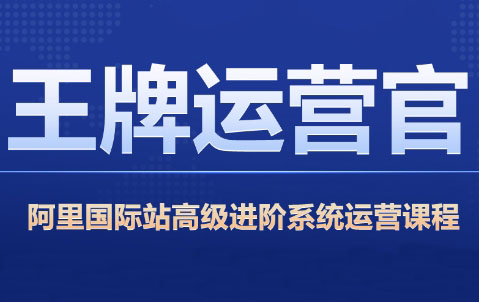 大钟老师·阿里巴巴国际站高级运营实战打造爆款店铺