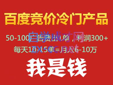 我是钱百度竞价冷门产品项目（更新2月）