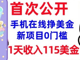 在线挣美金新项目，0门槛，1天收入115美刀，无脑操作，真正被动收入