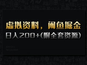 虚拟资料，闲鱼掘金，日入200+(详细教程+全套资源)