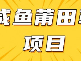 闲鱼高转化项目，手把手教你做，日入3张+(详细教程+货源)