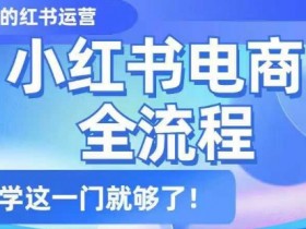 小红书电商全流程，精简易懂，从入门到精通，学这一门就够了