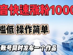 抖音快速涨1000+粉，门槛低操作简单，可多账号同时发布一个作品