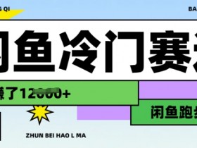 闲鱼冷门赛道，跑步挣钱，有人一个月挣了1.2w