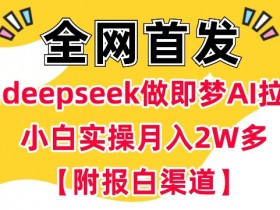 用deepseek做即梦Ai拉新 小白实操月入过W+【附报白渠道】