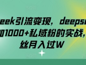 deepseek引流变现，deepseek被动日加1000+私域粉的实战，0粉丝月入过W