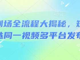 河马剧场全流程大揭秘，短剧爆款精选同一视频多平台发布实操